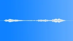 Birdy FX Live EnsembleSound Effect