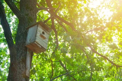 Birg feeder Stock Photos