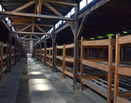 Birkenau 写真素材
