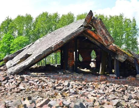 Birkenau 写真素材