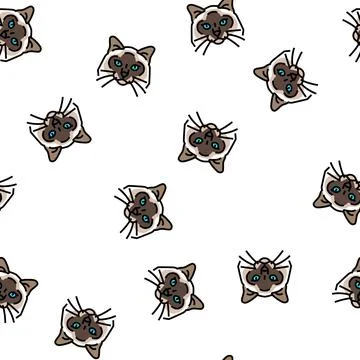 Birman cat cute pet vector seamless pattern Stock Illustration