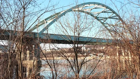 Birmingham Bridge seen through the brush by the Monongahela River Stock Footage 230163179