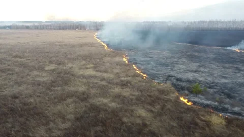 Birning Fields, Burning Dry Grass, Fire, Aerial Video 스톡 동영상 195461562