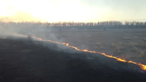Birning Fields, Burning Dry Grass, Fire, Aerial Video 스톡 동영상 195464628