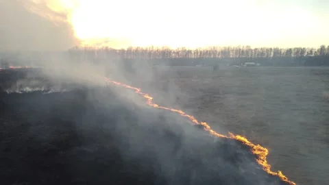 Birning Fields, Burning Dry Grass, Fire, Aerial Video 스톡 동영상 195464735