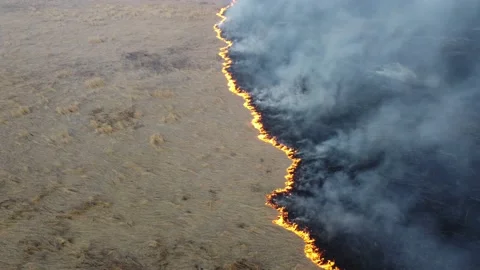 Birning Fields, Burning Dry Grass, Fire, Aerial Video 스톡 동영상 195464880