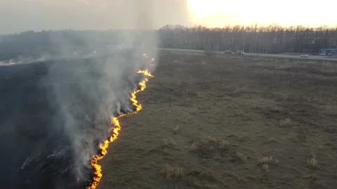 Birning Fields, Burning Dry Grass, Fire, Aerial Video 스톡 동영상 195465092