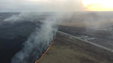 Birning Fields, Burning Dry Grass, Fire, Aerial Video 스톡 동영상 195465413
