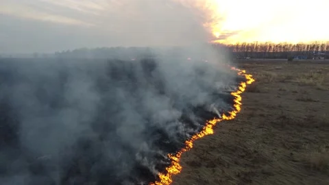 Birning Fields, Burning Dry Grass, Fire, Aerial Video 스톡 동영상 195465588