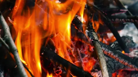 Birning woods, bonfire close-up. Stock Footage 142316427