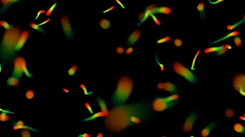 The birth of colored particles. organic movements. depth of field. Stock Footage 81397282