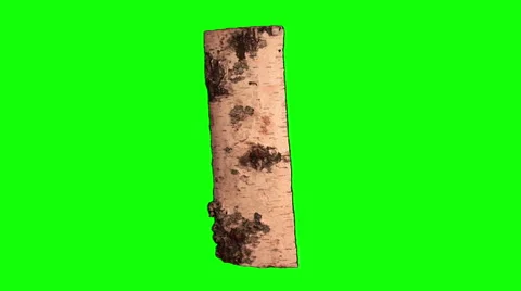 Birth log, standing Video stock 48616808