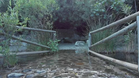 Birth of a river, spring Vidéo 154394419