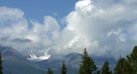 Birth on top Stock Footage 98137145