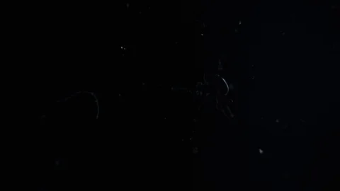 The birth of a transparent shiny snowflake Stock Footage 88389905