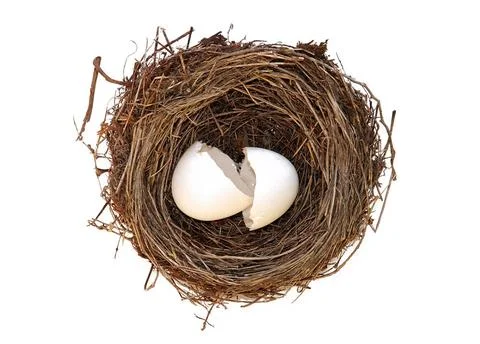 Birthday broken empty egg in nest isolated over white Copyright: xZoonar.c... Stockfoto's
