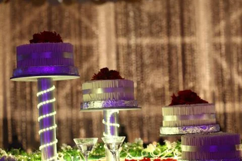 Birthday Cake at the function Stock Photos