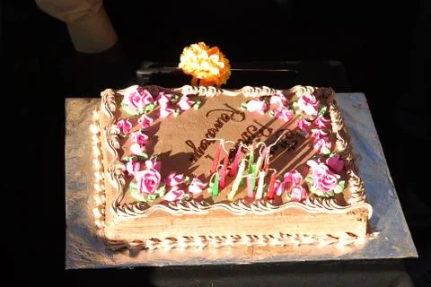 Birthday Cake at the function Stock Photos