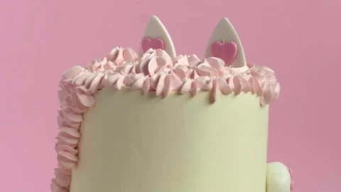 Birthday cake in the shape of cat with mastic ears and paws Stock Footage 255319002