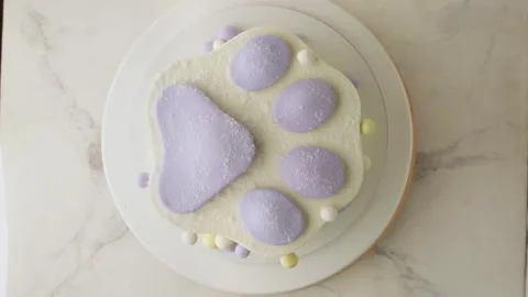 Birthday cake in the shape of trendy squish squishy paw Stock Footage 303970856