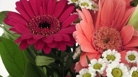 Birthday card. Bouquet of flowers - Lilies, Roses and Gerbera Stock Footage