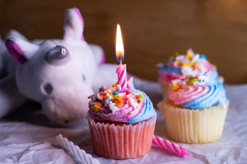 Birthday Cupcakes with Swirl Icing Stock Photos