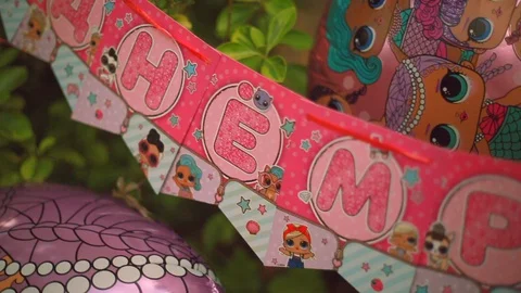 Birthday. Stock Footage 129183883