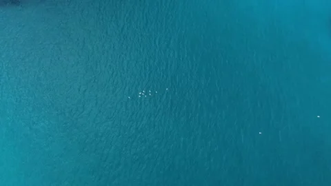 Births at the sea Stock Footage 155300182