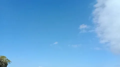 Biru laut Video stock 208885628