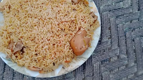 Biryani Plate Presented Directly in Front of the Camera Video stock 346983439