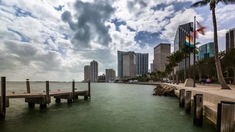 Biscayne Bay waterfront time lapse of Miami downtown. Florida, USA Vidéo 88396786