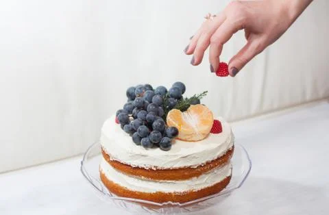Biscuit cake with fruit hat Stock Photos
