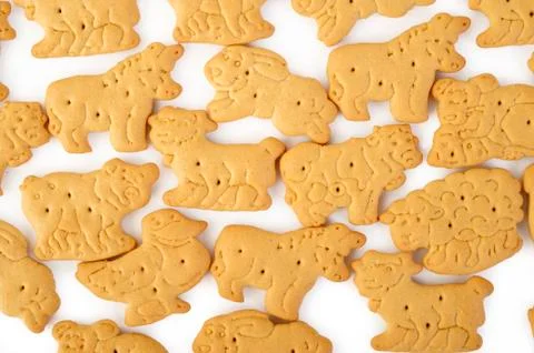 Biscuit cookie Stock Photos