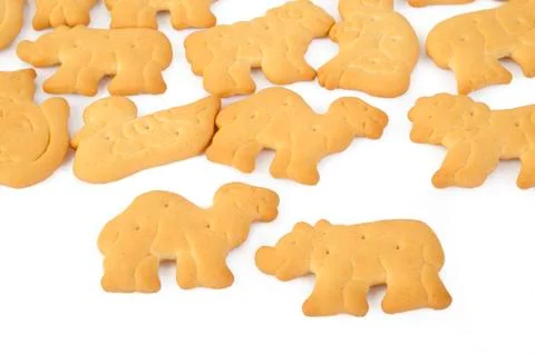 Biscuit cookie Stock Photos