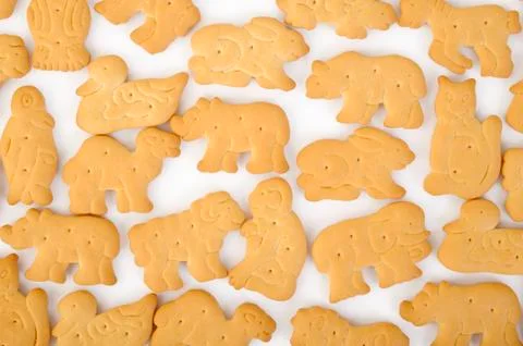 Biscuit cookie Stock Photos