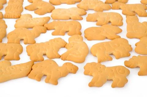 Biscuit cookie Foto stock