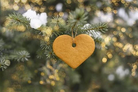 A biscuit in the of of the heart hangs on the tree with bokeh lights A bis... Stock Photos