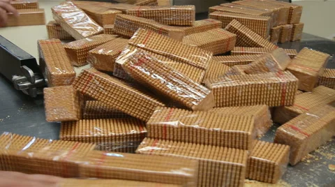 Biscuit packing Video stock 46091011