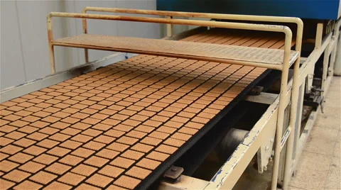 Biscuit production Stock Footage 46019620