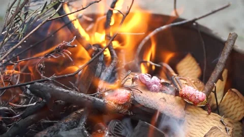 Biscuits and sweets burning in a bonfire Video stock 219974512