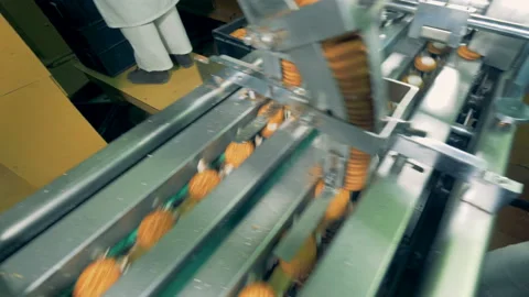 Biscuits are getting completed by a working factory machine 库存影片 85924703
