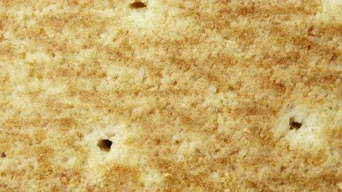 Biscuits with a detailed textured surface are rotated close up. Macro. Stock Footage 155278379