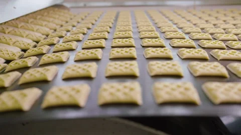 Biscuits moving along a mass production line Stock Footage 321633295