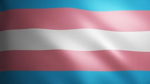 Bisexual Pride flag with fabric texture that moves in the wind. Smooth move.. Stock Illustration