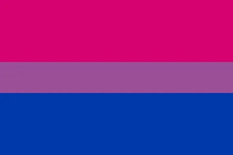 Bisexual Pride Flag Illustrazione stock