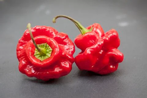 Bishop's Crown red Chilli Stock Photos