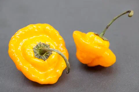 Bishop's Crown yellow Chilli Foto stock