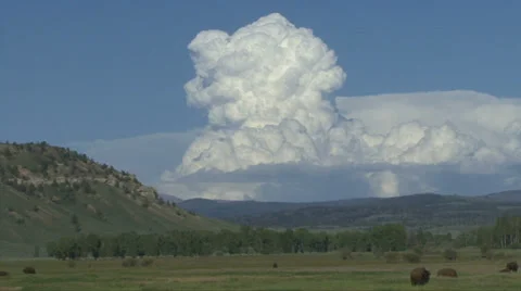 BISON AND CLOUD 库存影片 27563443