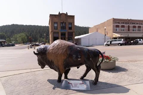 Bison Art Display Stock Photos