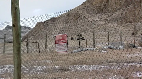 Bison (Bison bison) Grazing Behind Fence Stock Footage 93801317